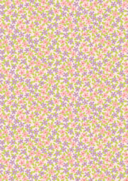 fUCp[a1_062 t  ΂ 