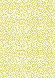 fUCp[aQ_007 JX~\E  ݂